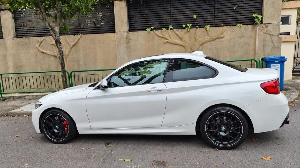 BMW 2 Series 218i Coupe Sunroof photo 3
