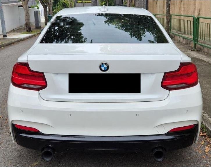 BMW 2 Series 218i Coupe Sunroof photo 4
