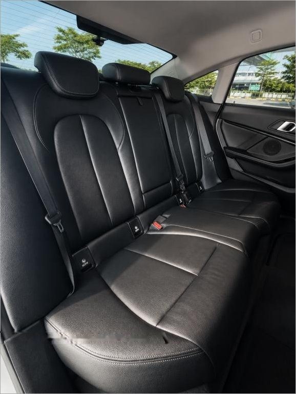 BMW 2 Series 218i Gran Coupe photo 6