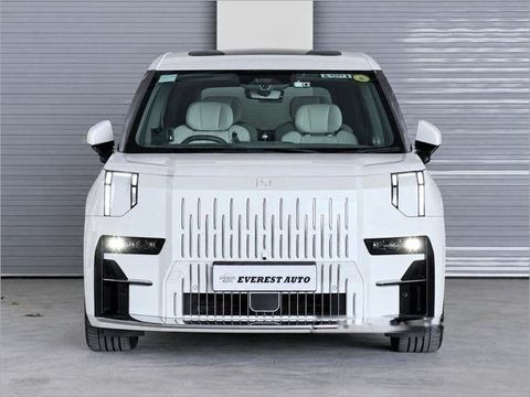 ZEEKR 009 Electric