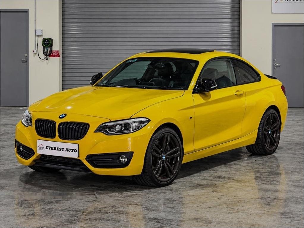 BMW 2 Series 218i Coupe Sunroof photo 2