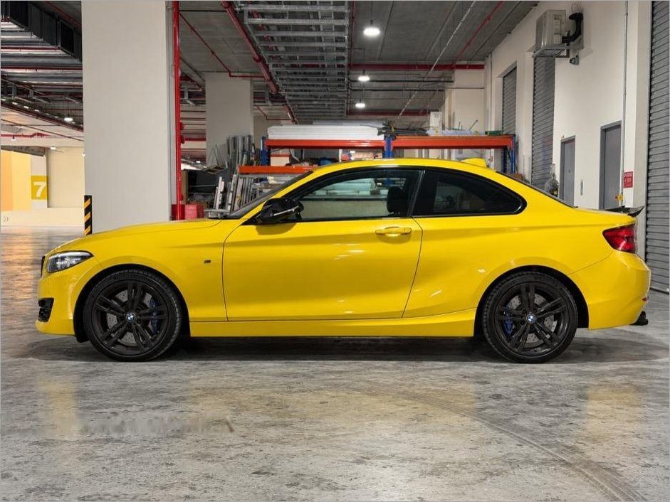 BMW 2 Series 218i Coupe Sunroof photo 3