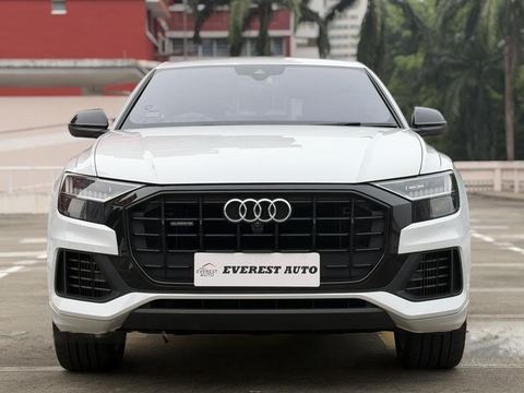 Audi Q8 Mild Hybrid 3.0A TFSI Quattro Tip