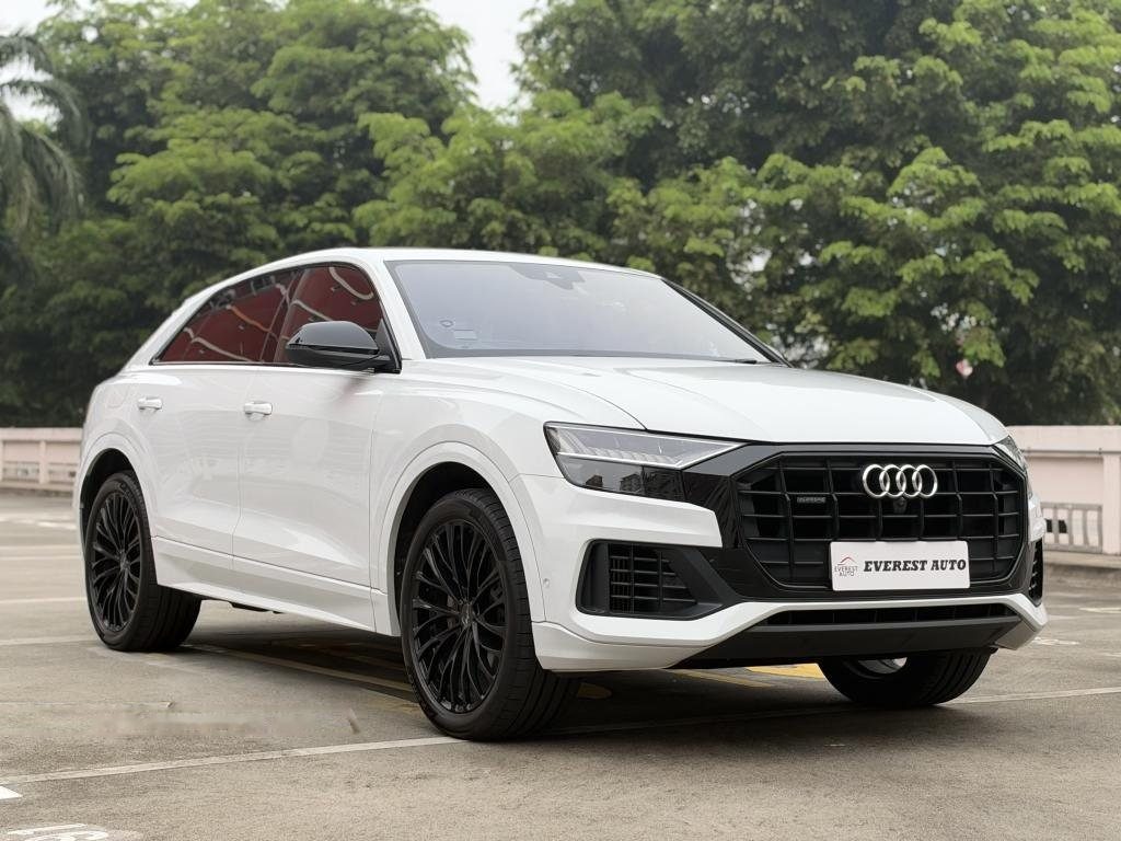 Audi Q8 Mild Hybrid 3.0A TFSI Quattro Tip photo 2