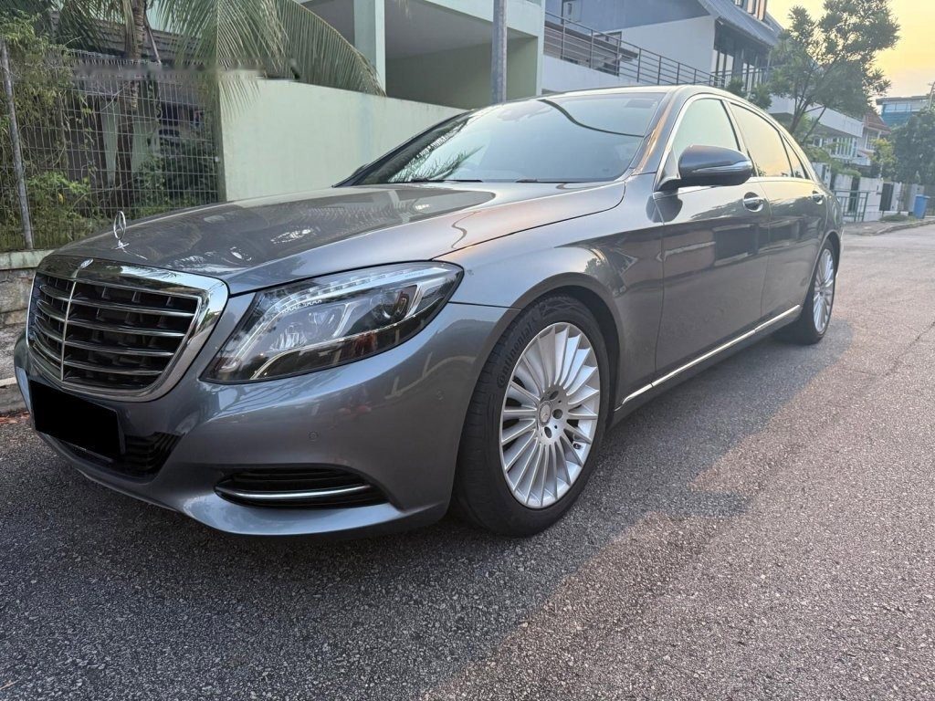 Mercedes-Benz S-Class S320L photo 3