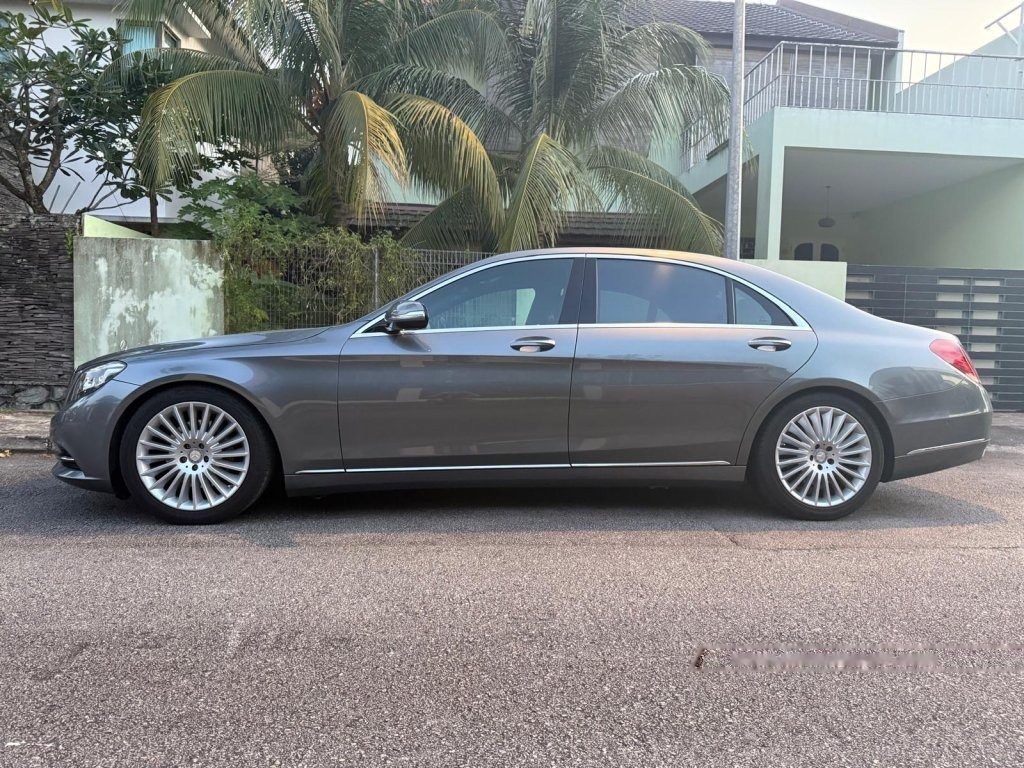 Mercedes-Benz S-Class S320L photo 4